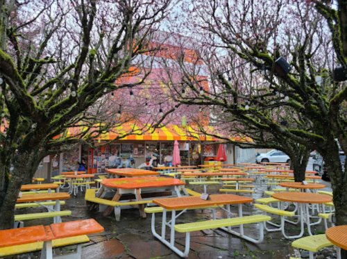 Outdoor dining area with colorful tables under blooming cherry trees, featuring a vibrant orange and yellow building in the background.