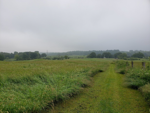 A grassy path leads through a lush, green landscape under a cloudy sky.