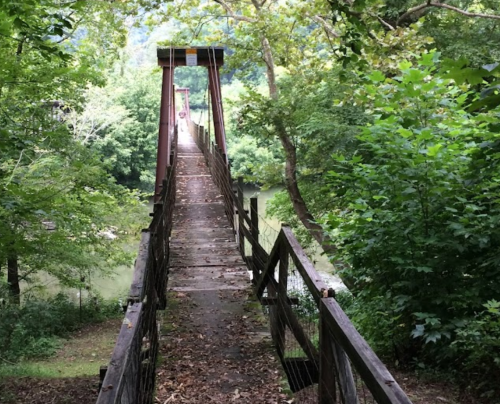 A wooden suspension bridge surrounded by lush greenery, leading over a calm river.