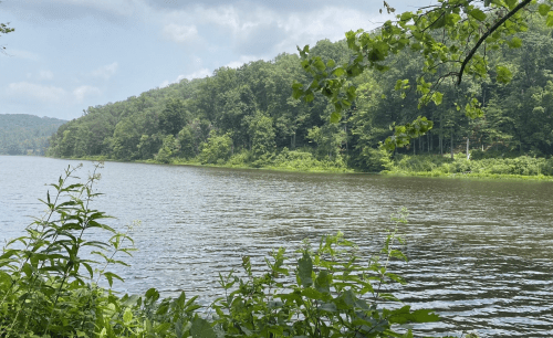 A serene river scene surrounded by lush green trees and foliage under a partly cloudy sky.