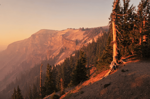 Sunset over a rugged mountain landscape, featuring tall trees and rocky cliffs bathed in warm golden light.