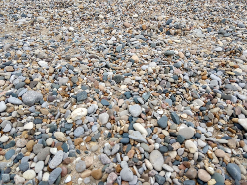 A close-up view of a pebbly beach, featuring a mix of smooth gray, brown, and white stones scattered across the sand.