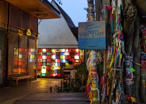 A colorful wish tree adorned with ribbons, next to a vibrant wall and a cozy entrance at a venue.