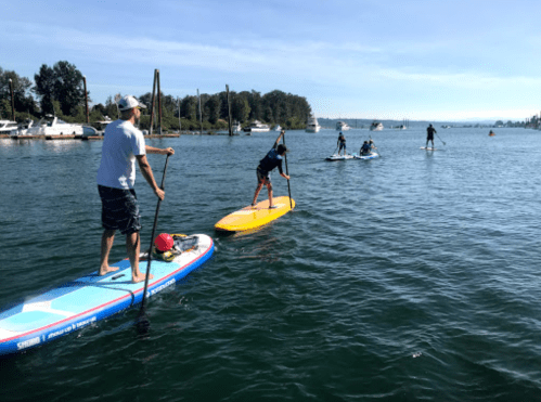 A group of people paddleboarding on a calm waterway with boats and trees in the background on a sunny day.