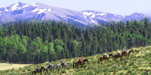 A group of people riding horses through a grassy landscape with mountains and trees in the background.