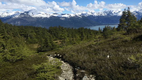 A scenic view of snow-capped mountains and a lush green landscape under a blue sky with fluffy clouds.