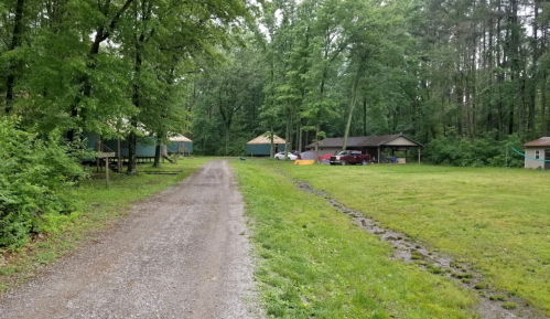 A gravel road leads through a green forest, with cabins and parked cars visible in the distance.