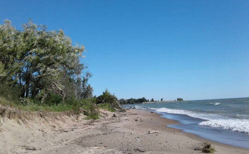 A sandy beach with gentle waves, trees lining the shore, and a clear blue sky in the background.