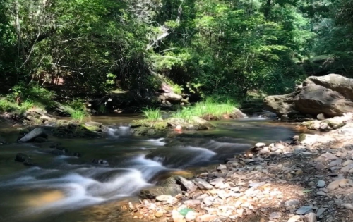 A serene stream flows through a lush green forest, with smooth rocks and pebbles lining the water's edge.