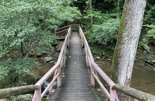 A wooden bridge crosses a small stream, surrounded by lush green trees and foliage.