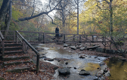 A person stands on a wooden bridge over a stream, surrounded by autumn foliage and rocky terrain.