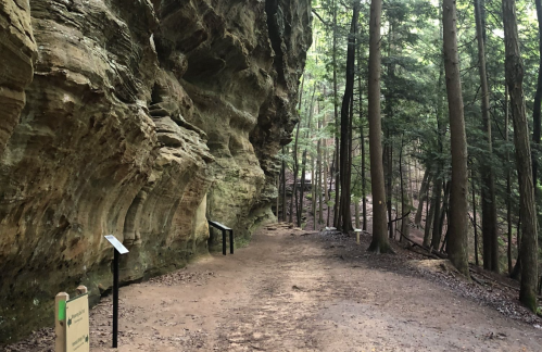A forest path beside a rocky cliff, with signs and trees lining the trail in a serene natural setting.