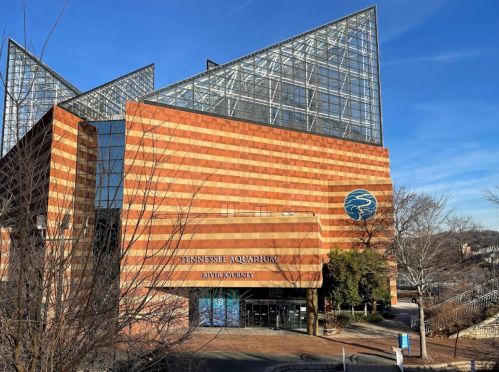 Exterior view of the Tennessee Aquarium, featuring a modern design with glass and brick elements against a blue sky.
