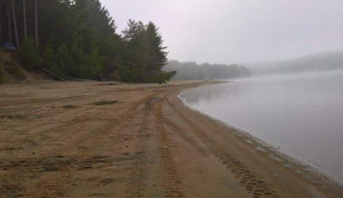 A misty shoreline with sandy beach and tire tracks, surrounded by trees and calm water.