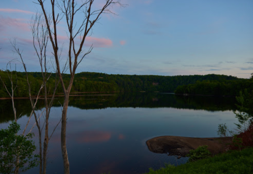 A serene lake at dusk, surrounded by lush greenery and reflecting the soft colors of the sky.