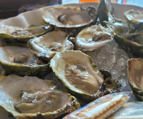 A plate of fresh oysters on ice, with a packet of crackers nearby.