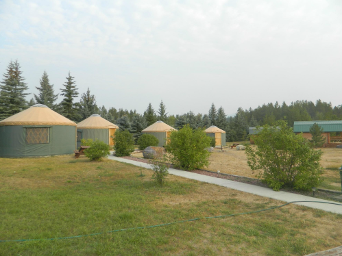 A serene landscape featuring several yurts surrounded by trees and a pathway, with a grassy area in the foreground.