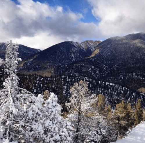 Snow-covered trees in the foreground with majestic mountains and a partly cloudy sky in the background.