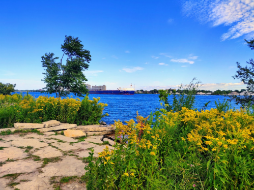 A serene waterfront scene with vibrant yellow flowers, a clear blue sky, and a distant ship on the water.