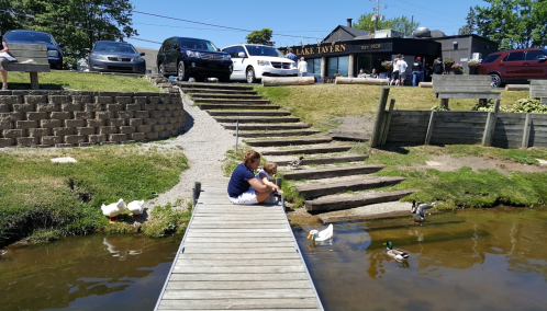 A woman and child sit on a dock by a pond, watching ducks swim, with a tavern and cars in the background.