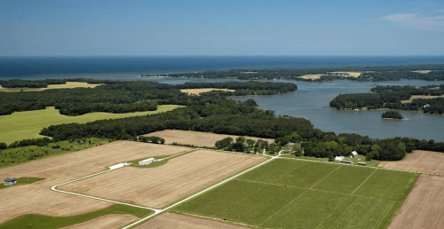 Aerial view of lush farmland and a serene lake, with green fields and trees under a clear blue sky.