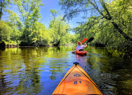 A person paddles a kayak on a calm river surrounded by lush green trees under a clear blue sky.