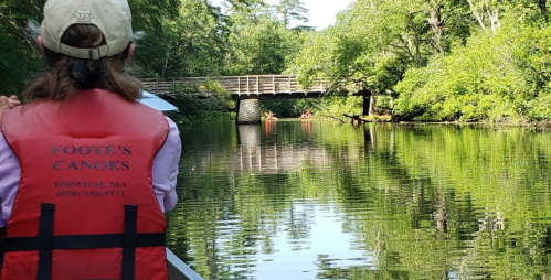 A person in a life jacket paddles a canoe on a calm river, with a bridge and lush greenery in the background.