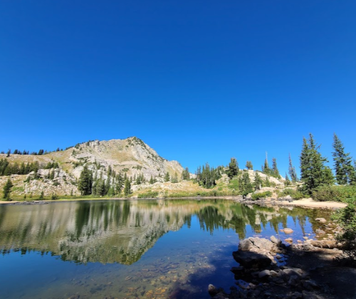 A serene mountain lake reflecting a clear blue sky and surrounding trees, with rocky terrain in the background.