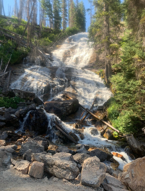 A cascading waterfall flows over rocks, surrounded by lush green trees and a clear blue sky.