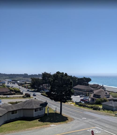 A coastal view featuring a road, a large tree, and buildings near the shore under a clear blue sky.