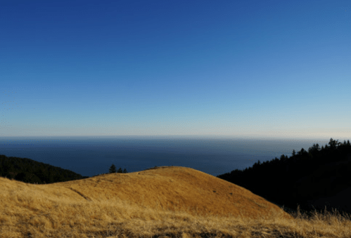 A serene landscape featuring golden grass hills meeting a calm blue ocean under a clear sky.