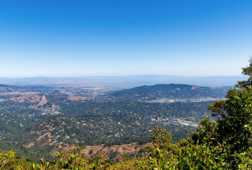 A panoramic view of a valley and distant hills under a clear blue sky, framed by green foliage in the foreground.