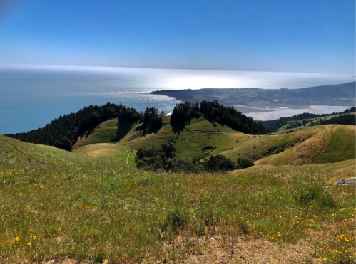 A scenic view of rolling green hills overlooking a shimmering ocean and coastline under a clear blue sky.