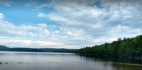 A serene lake surrounded by trees under a cloudy sky, with a calm water surface reflecting the scenery.