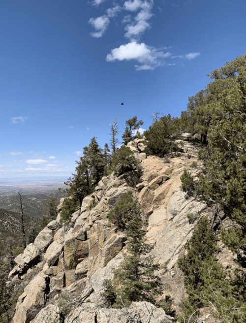 A rocky mountain slope with sparse trees under a clear blue sky and scattered clouds.