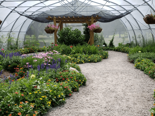 A vibrant garden path winding through colorful flowers and greenery inside a greenhouse.