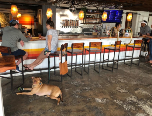 A dog relaxes on the floor of a bar with patrons sitting at the counter and colorful decor in the background.