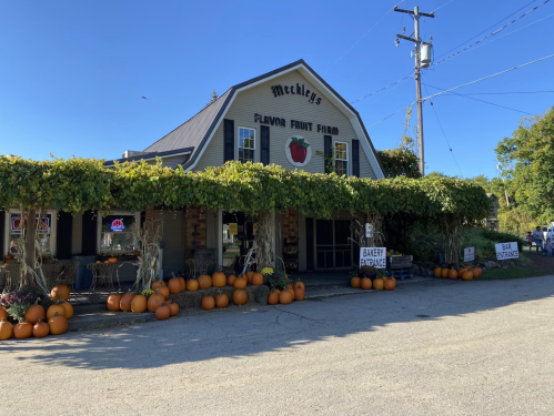A fruit farm building with pumpkins lined up outside, surrounded by greenery and a clear blue sky.