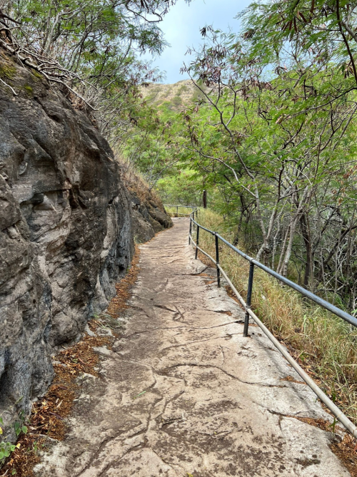 A winding path through lush greenery, flanked by rocky terrain and a railing, under a cloudy sky.