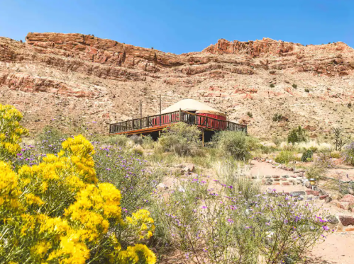 A yurt on a wooden deck surrounded by colorful wildflowers and rocky cliffs under a clear blue sky.