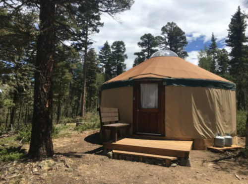 A cozy yurt surrounded by tall trees and a wooden deck, set in a serene forest landscape.