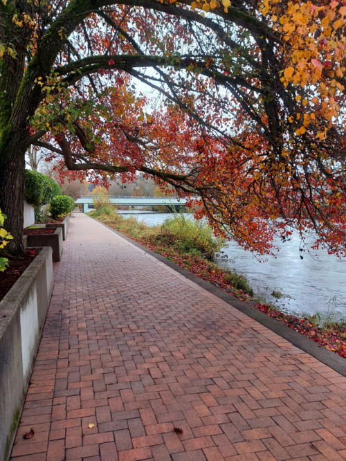 A brick pathway lined with colorful autumn trees beside a calm river.