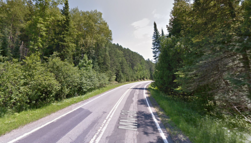 A winding road surrounded by lush green trees and foliage under a clear sky.