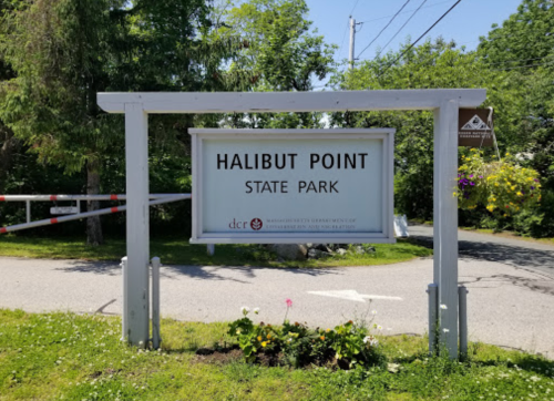 Sign for Halibut Point State Park, surrounded by greenery and a clear blue sky.