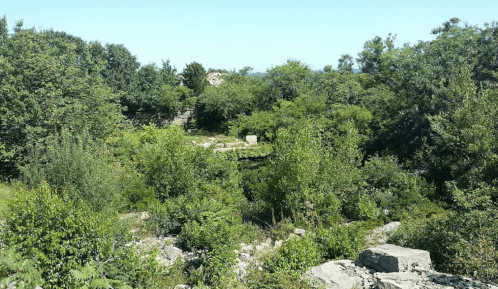 Lush greenery surrounds rocky terrain under a clear blue sky, creating a serene natural landscape.
