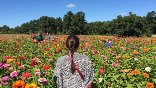 A person with a braid stands in a vibrant flower field, surrounded by colorful blooms and other visitors.