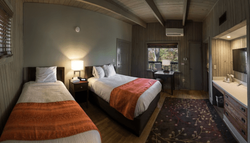 Cozy hotel room with two beds, wooden accents, a desk, and a window overlooking greenery.