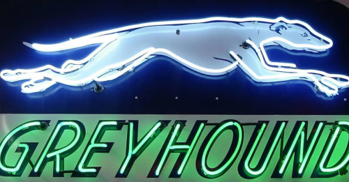 Neon sign featuring a leaping greyhound above the word "GREYHOUND" in bright green letters.