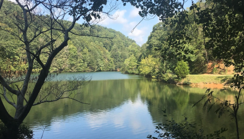 A serene lake surrounded by lush green trees and hills under a clear blue sky. Reflections shimmer on the water's surface.