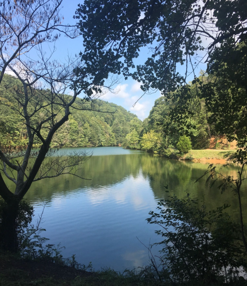 A serene lake surrounded by lush greenery and trees under a clear blue sky. Reflections shimmer on the water's surface.